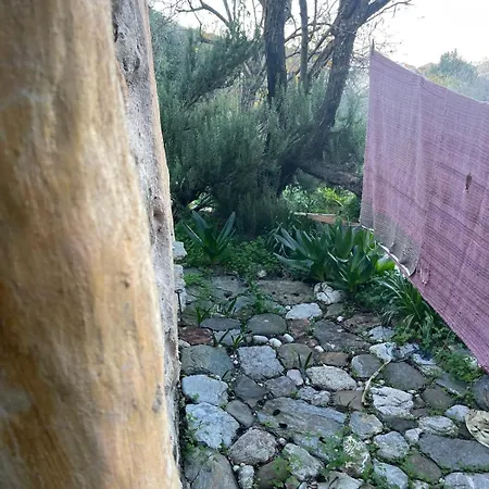 Circadia Homestay Prongion