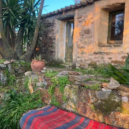 Homestay Circadia