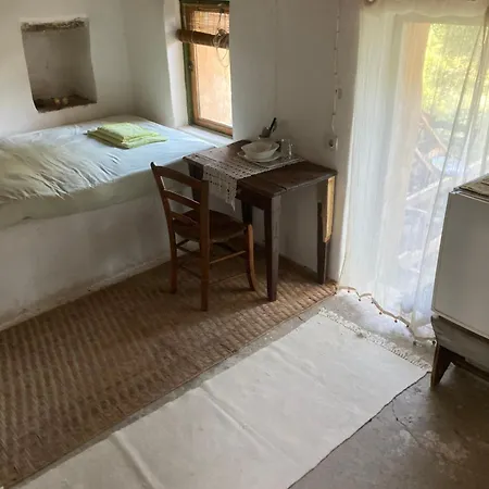 Circadia Homestay *